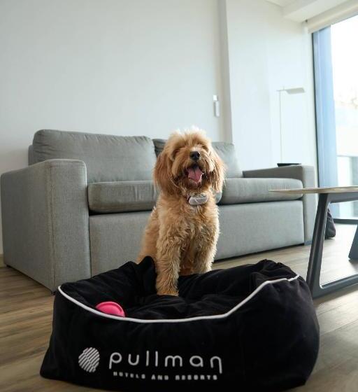 اتاق پرمیوم, Pullman Vina Del Mar San Martín