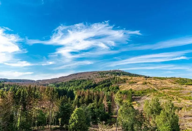 اتاق استاندارد, Ahorn Harz Hotel Braunlage