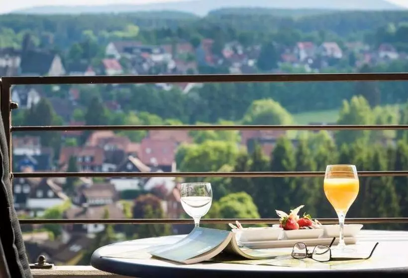 اتاق استاندارد, Ahorn Harz Hotel Braunlage
