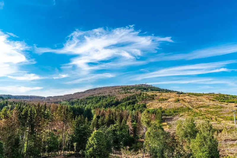 اتاق راحتی, Ahorn Harz Hotel Braunlage
