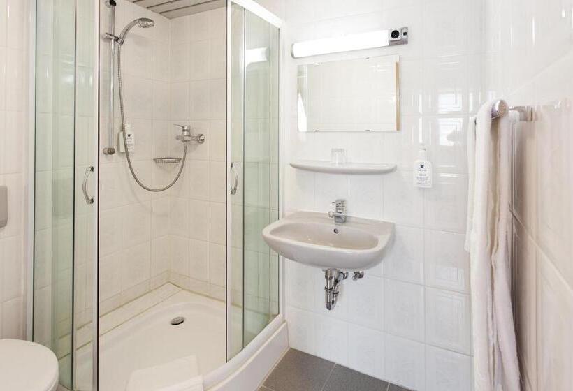 اتاق استاندارد یک نفره, Alter Wolf