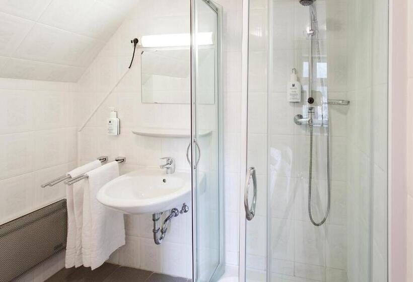 اتاق استاندارد چهار تخته, Alter Wolf