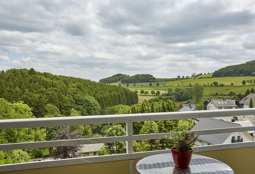 Номер Стандартный с Видом, H+ Hotel Willingen