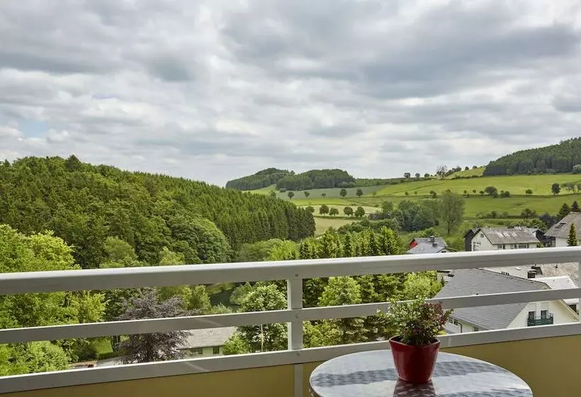 اتاق استاندارد با چشم‌انداز, H+ Hotel Willingen