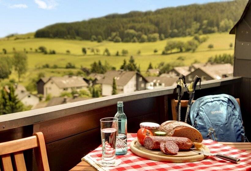 스탠다드 전망 룸, H+ Hotel Willingen