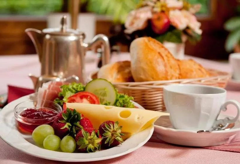 Standard Yhden Hengen Huone, Harz Hotel Iris