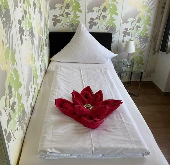 标准单人间, Nassauer Hof