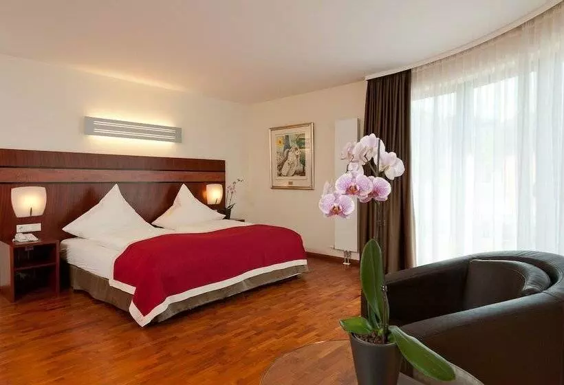 اتاق استاندارد یک نفره, Park Residenz Bad Sooden