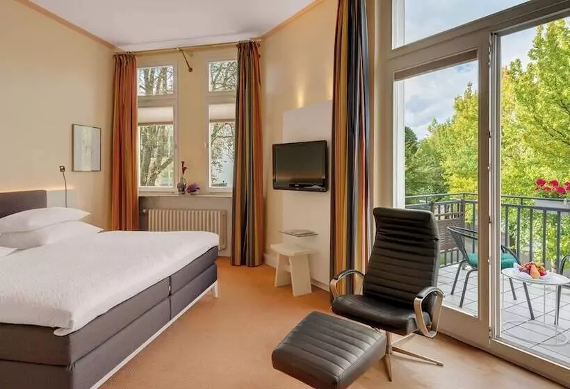 اتاق سوپریور با چشم‌انداز رودخانه, Rheinhotel Dreesen