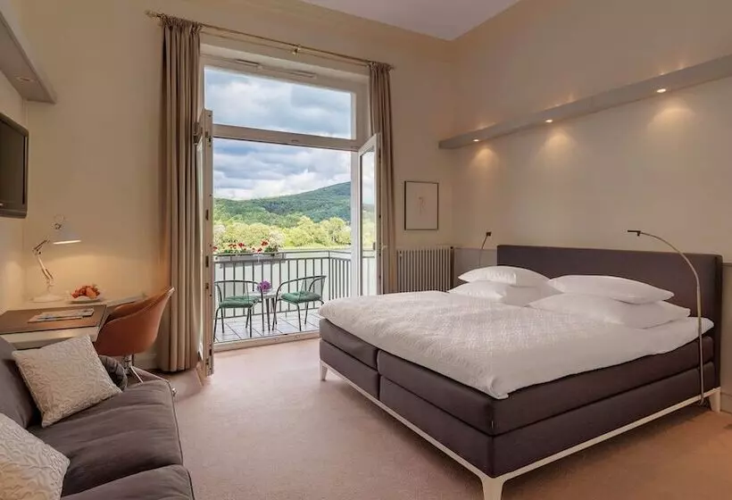 اتاق سوپریور با چشم‌انداز رودخانه, Rheinhotel Dreesen