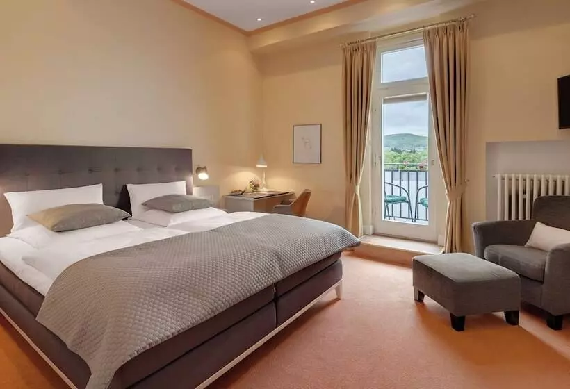 اتاق سوپریور با چشم‌انداز رودخانه, Rheinhotel Dreesen