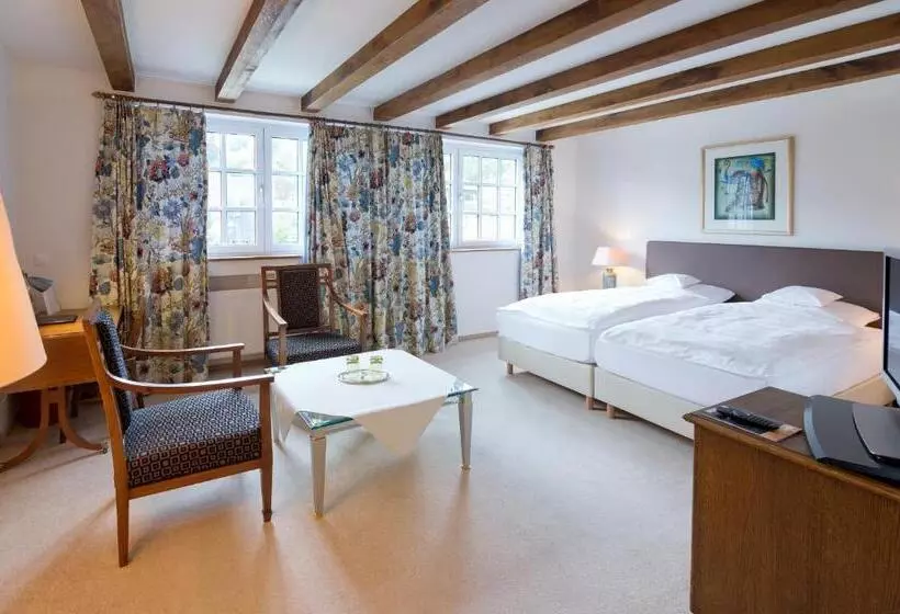 スーペリアールーム, Romantik Waldhotel Mangold
