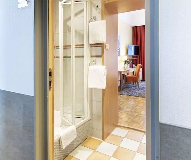 اتاق اکونومی, Achat Sternhotel Bonn