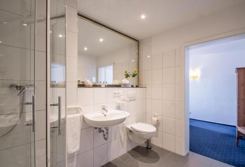 스탠다드 룸, Posthotel Monegro