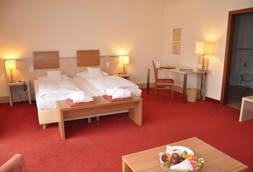 带阳台的豪华间, Am Kurpark