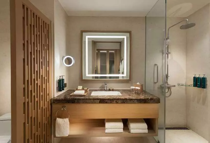 キングサイズベッドのスイートルーム, Hilton Heidelberg