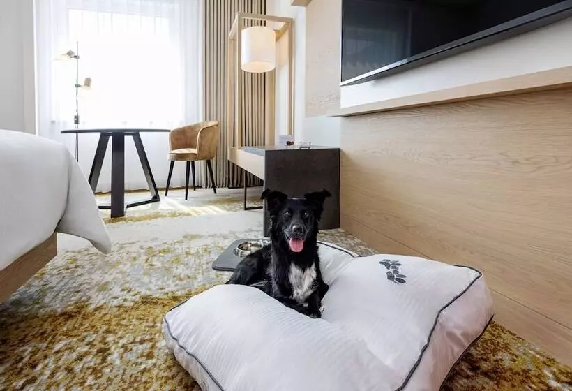 メゾネットスイート, The Westin Grand Frankfurt