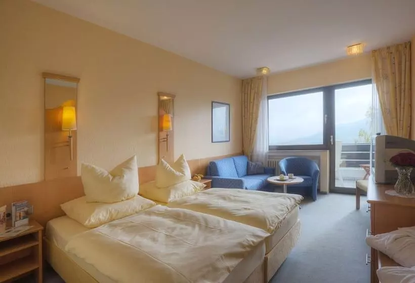 景色の見えるスタンダードシングルルーム, Waldhotel Sonnenberg