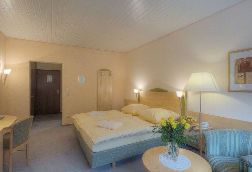침실 별도 스탠다드 싱글 룸, Waldhotel Sonnenberg