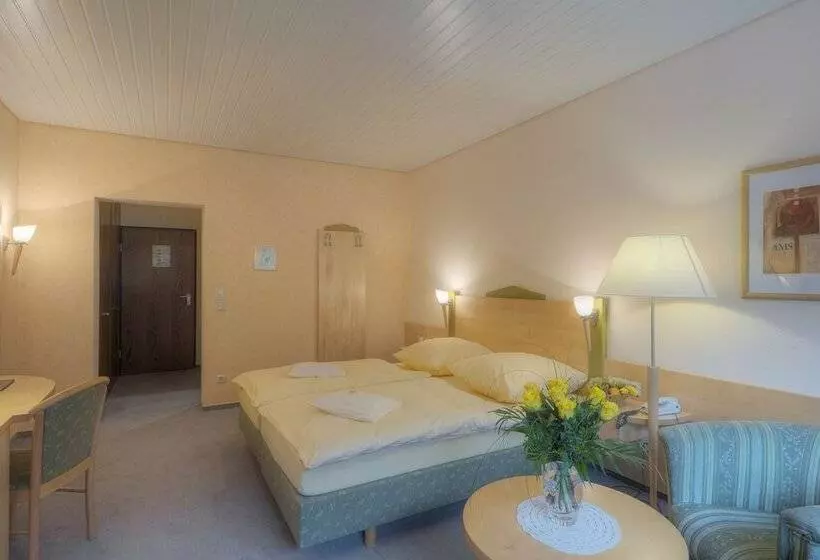 景色の見えるスタンダードシングルルーム, Waldhotel Sonnenberg