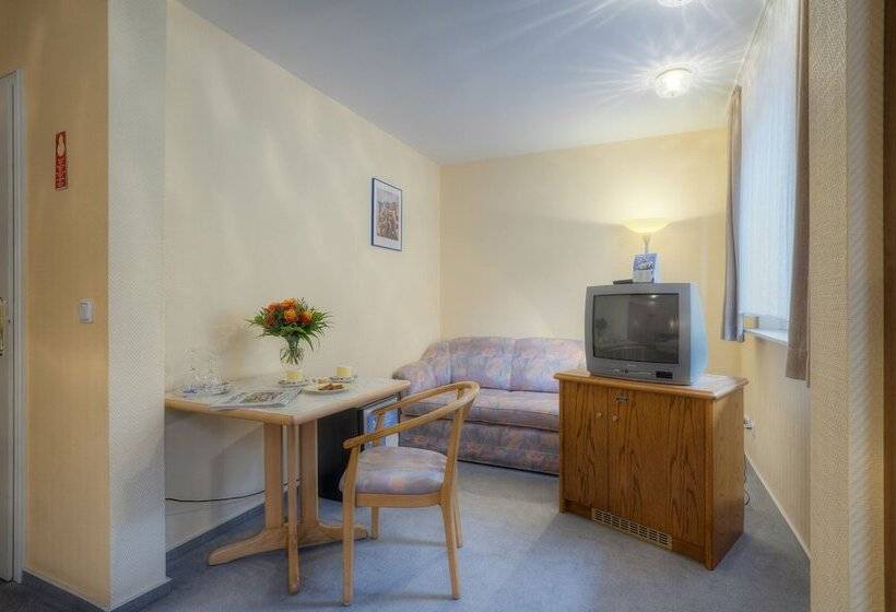 컴포트 싱글 룸, Waldhotel Sonnenberg