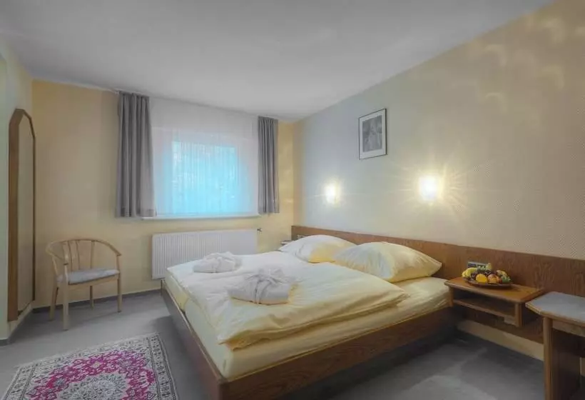 コンフォートシングルルーム, Waldhotel Sonnenberg