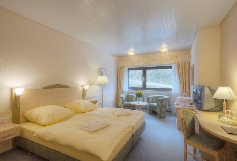 غرفة قياسية فردية ذات إطلالة, Waldhotel Sonnenberg