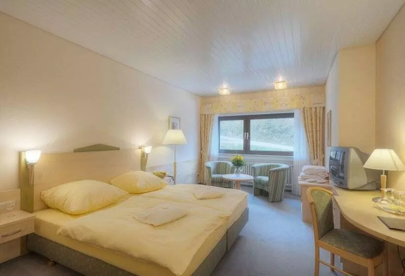 景色の見えるスタンダードシングルルーム, Waldhotel Sonnenberg