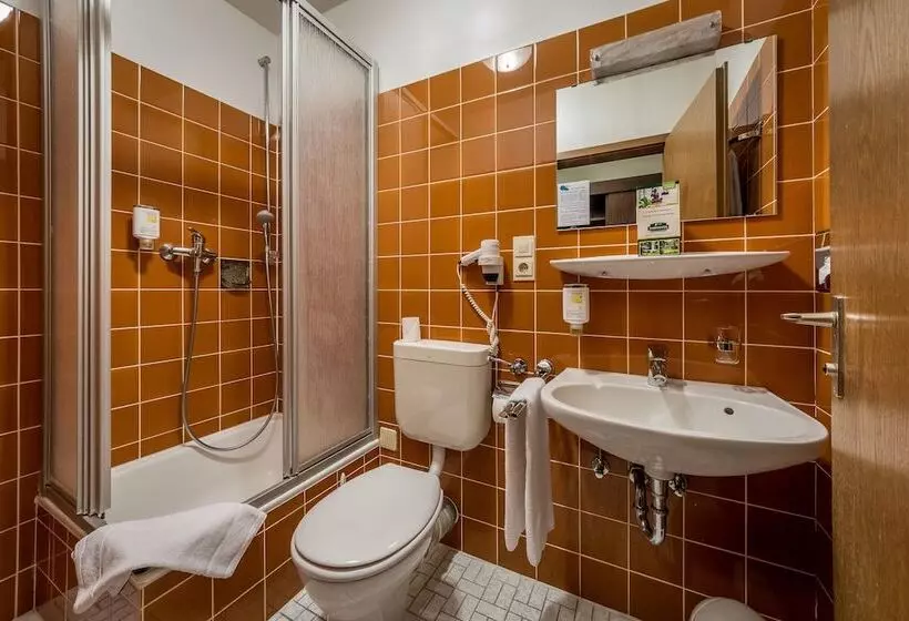 اتاق اکونومی یک تخته, Parkhotel Frankfurt Rödermark