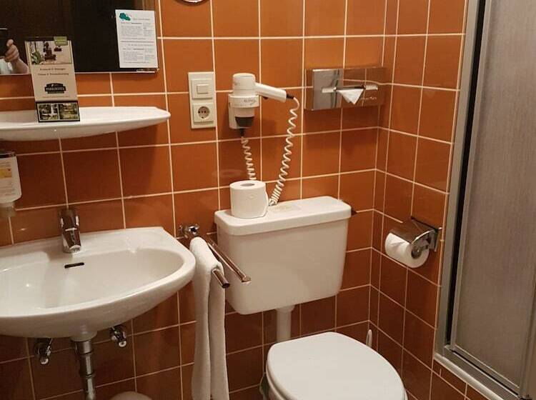 Номер Economy Индивидуальный, Parkhotel Frankfurt Rödermark