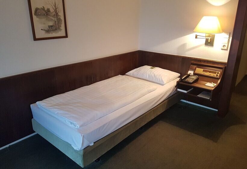 Номер Economy Индивидуальный, Parkhotel Frankfurt Rödermark