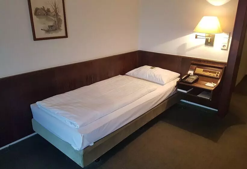 اتاق اکونومی یک تخته, Parkhotel Frankfurt Rödermark