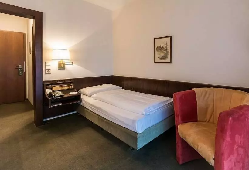 اتاق اکونومی یک تخته, Parkhotel Frankfurt Rödermark