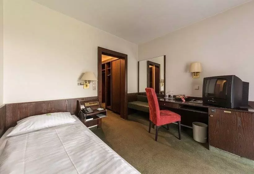 اتاق اکونومی یک تخته, Parkhotel Frankfurt Rödermark