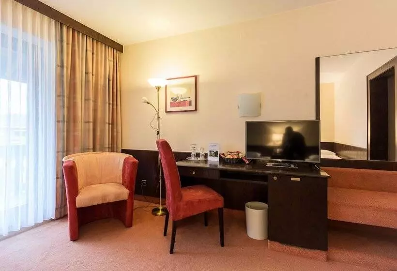 اتاق اکونومی, Parkhotel Frankfurt Rödermark