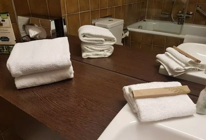 اتاق پریمیوم یک تخته, Parkhotel Frankfurt Rödermark