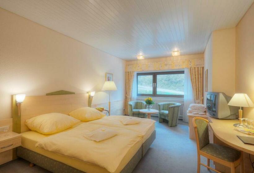 غرفة قياسية, Waldhotel Sonnenberg