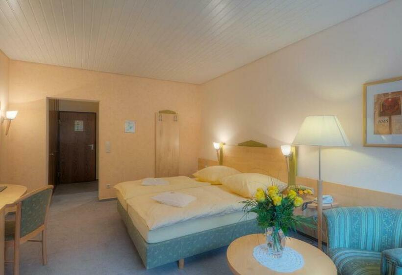 غرفة قياسية, Waldhotel Sonnenberg