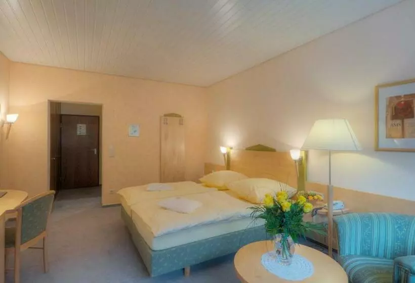 スタンダードルーム, Waldhotel Sonnenberg