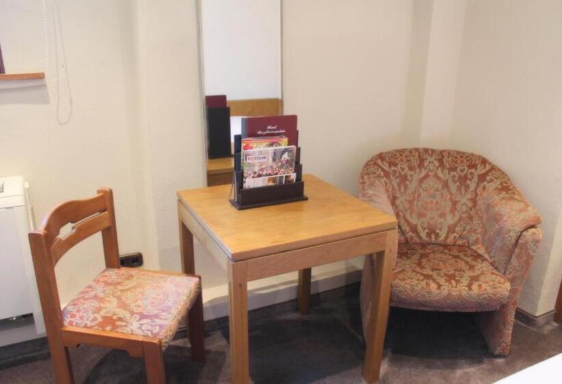 غرفة قياسية فردية, Burggartenpalais