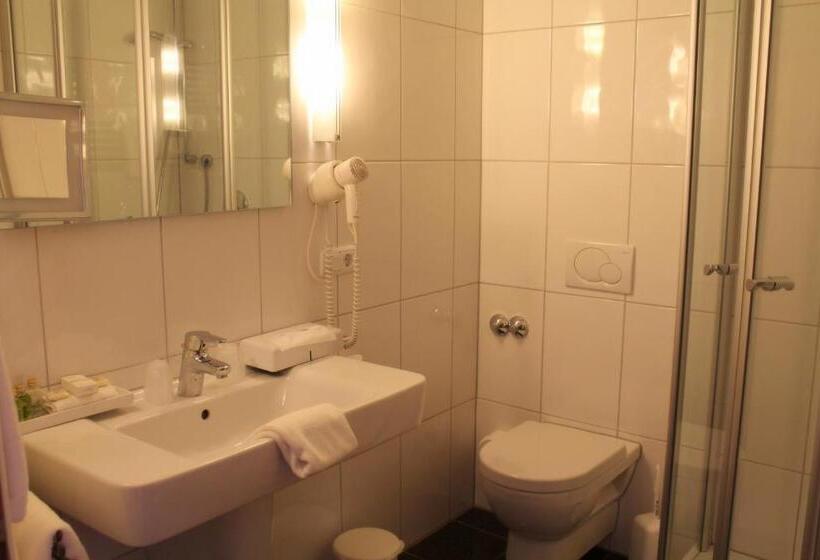 غرفة كومفورت, Burggartenpalais