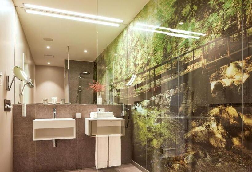 Номер Deluxe с Балконом, Dorint Resort & Spa Bad Brückenau