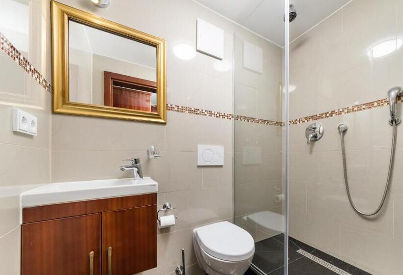 اتاق لوکس یک تخته, Du Train