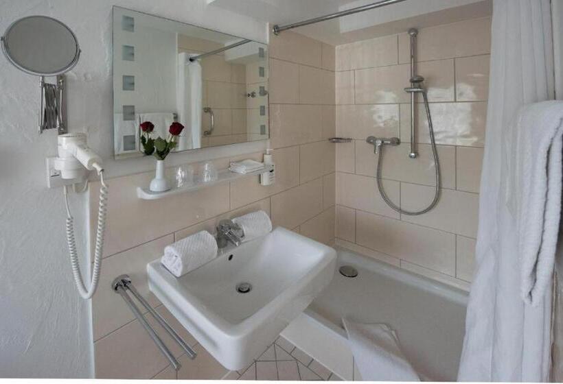 غرفة كلاسيكية فردية, Schiff Am Schluchsee