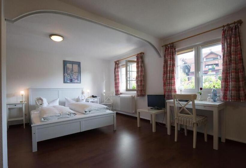 غرفة كومفورت, Schiff Am Schluchsee