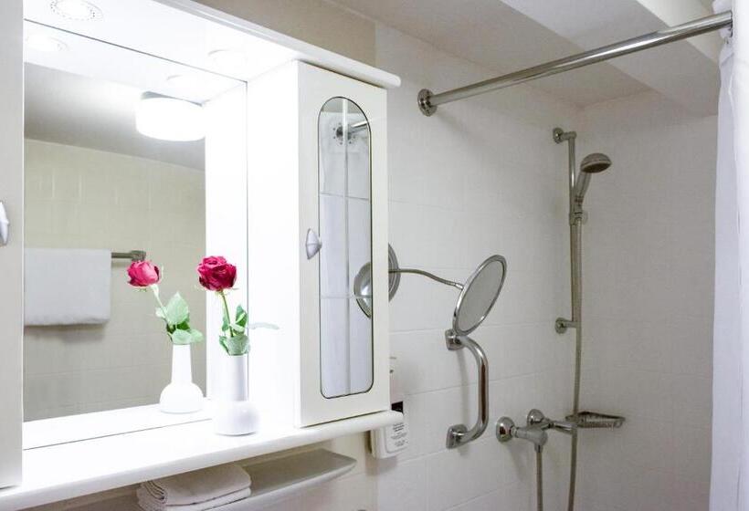 غرفة سوبيريور, Schiff Am Schluchsee