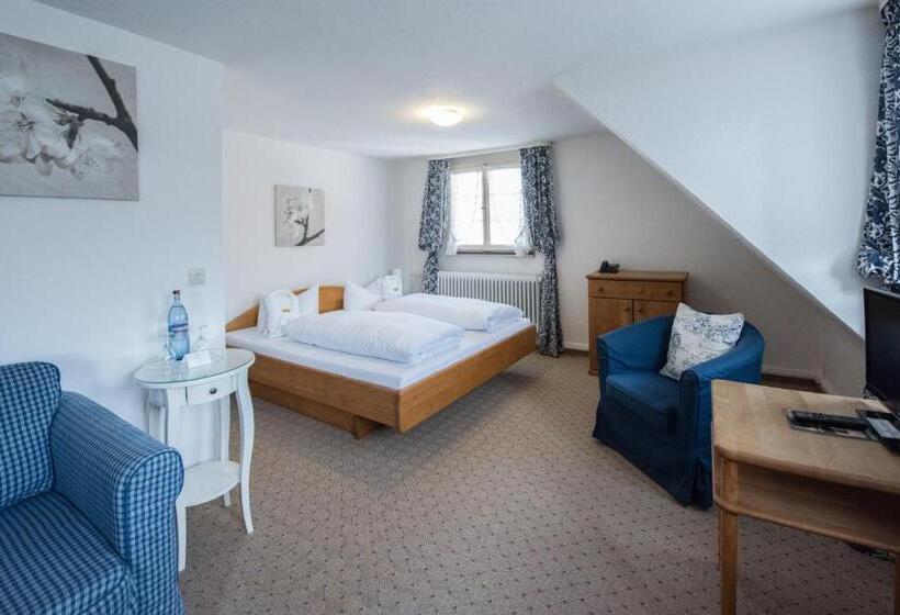 غرفة سوبيريور, Schiff Am Schluchsee