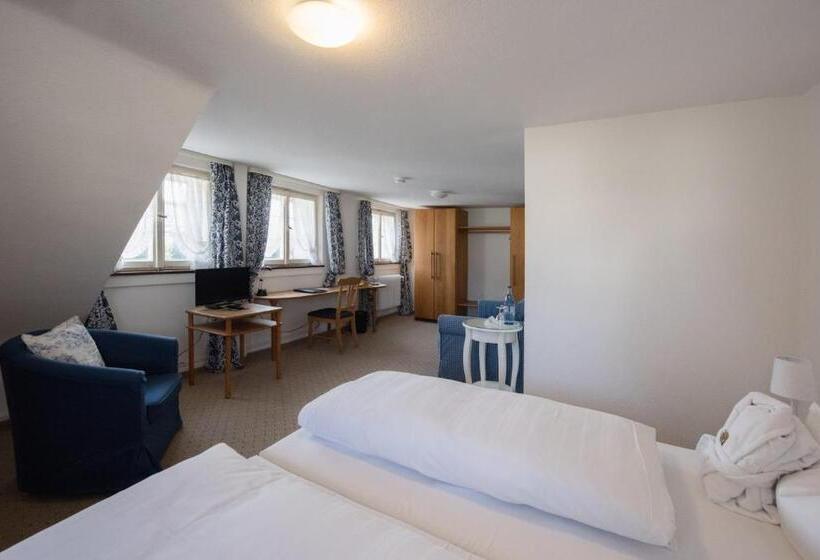 غرفة سوبيريور, Schiff Am Schluchsee