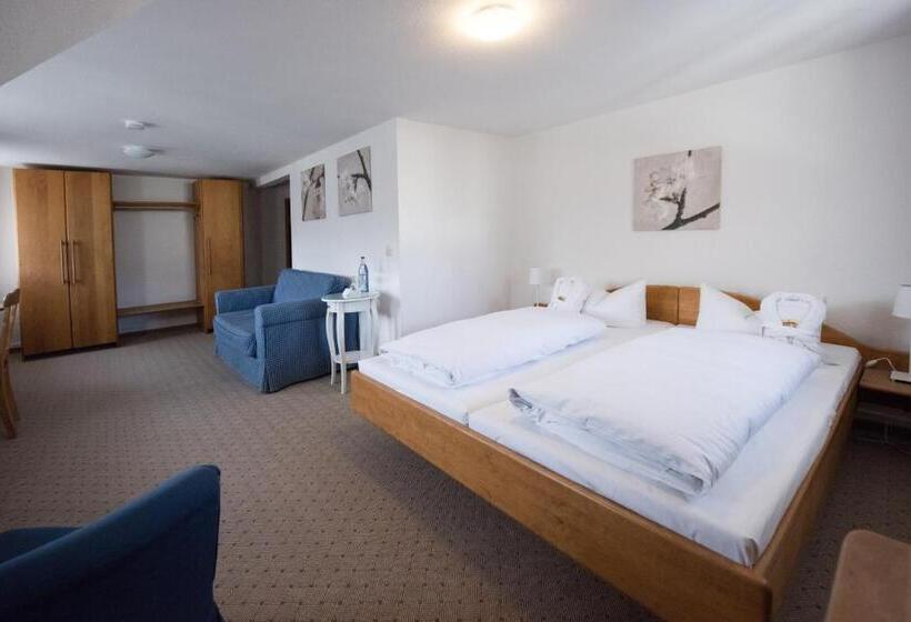 غرفة سوبيريور, Schiff Am Schluchsee