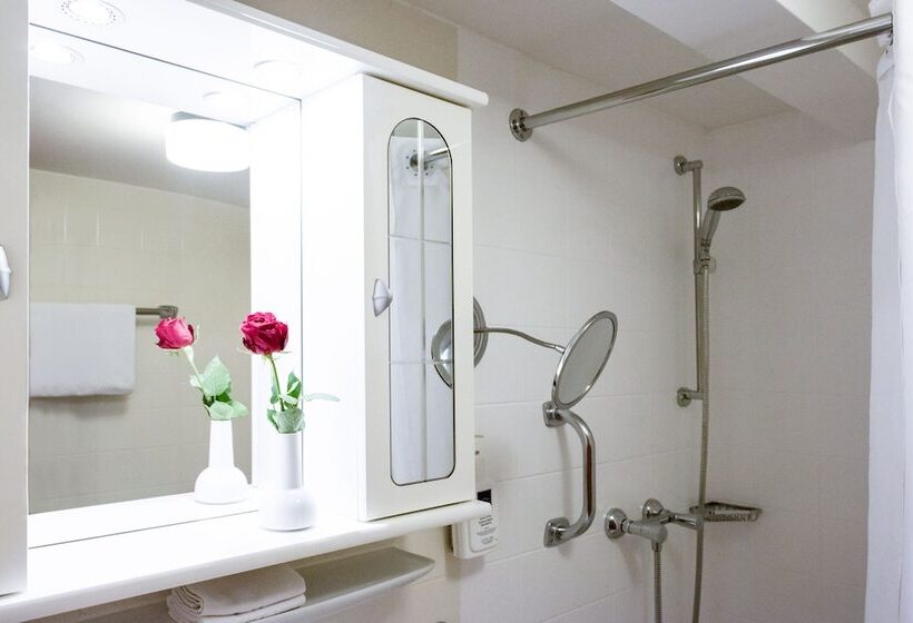 غرفة كلاسيكية, Schiff Am Schluchsee